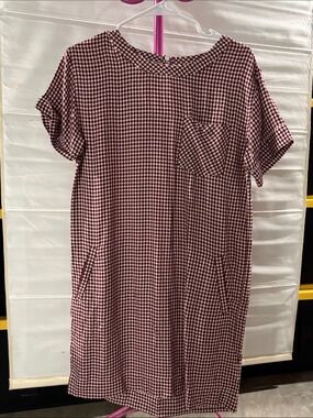 Madewell Red and White Gingham Shirt Dress
